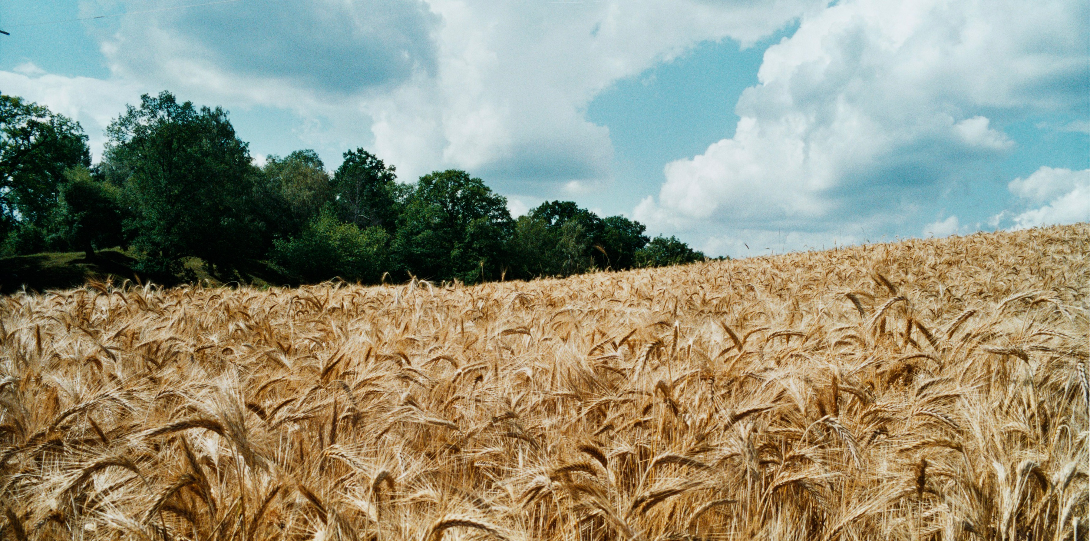 Lantmannen Unibake Sustainability